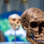 Wspólne tradycje Homo sapiens i Neandertalczyka: Lewant jako miejsce pochówków