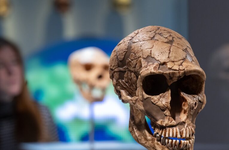 Wspólne tradycje Homo sapiens i Neandertalczyka: Lewant jako miejsce pochówków