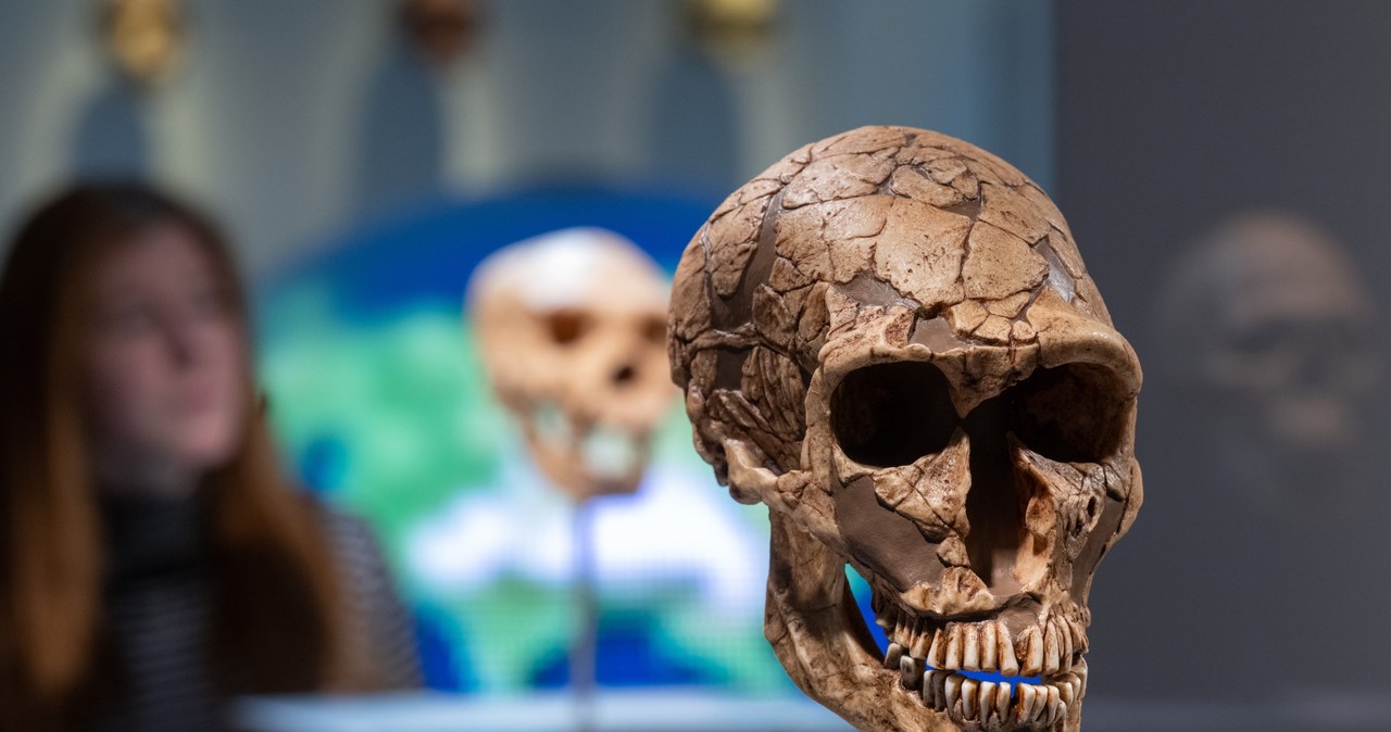 Wspólne tradycje Homo sapiens i Neandertalczyka: Lewant jako miejsce pochówków