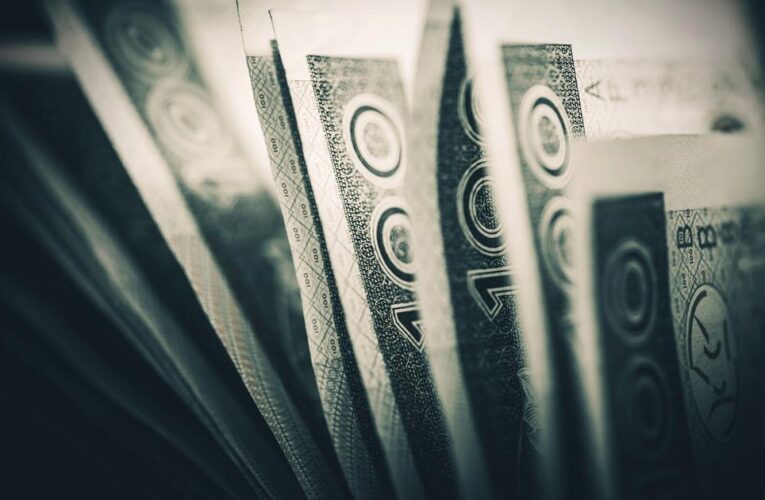 Złoty nieznacznie stracił wobec kluczowych walut