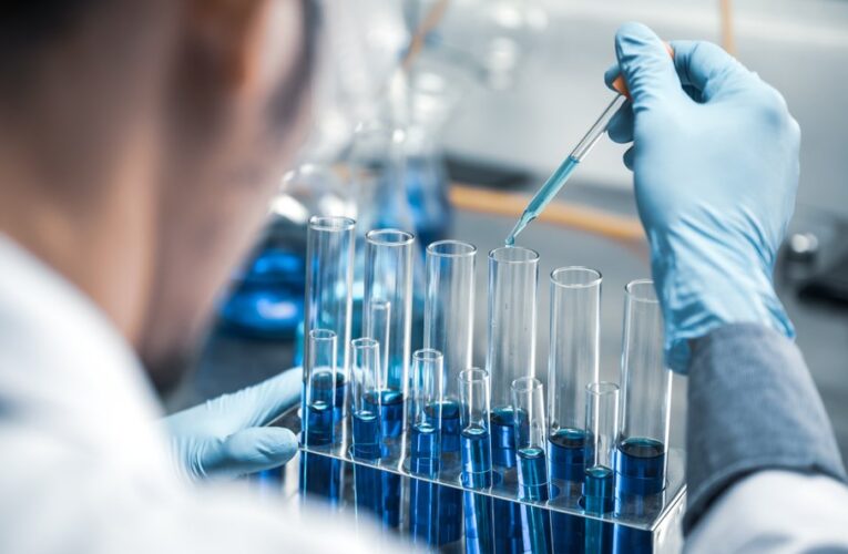 Plany rozwojowe Diagnostyki i Voxel. Co zamierzają i ile kosztują ich akcje?