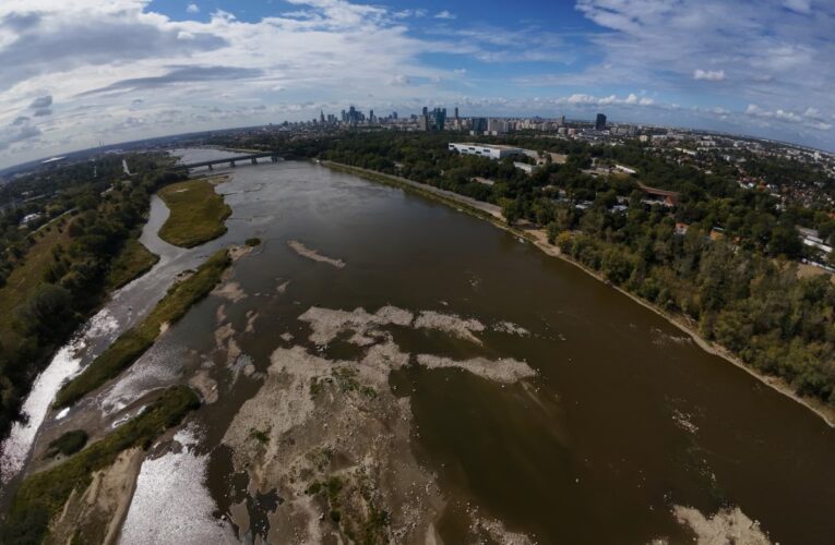 Odsłonięte muliste dno, małże i zaledwie 10 cm na wodowskazie. Warszawa znów notuje rekordowo niski stan wody po raz drugi w roku