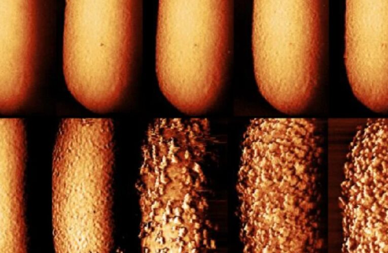 Jak antybiotyki rozbijają ochronę śmiercionośnych bakterii