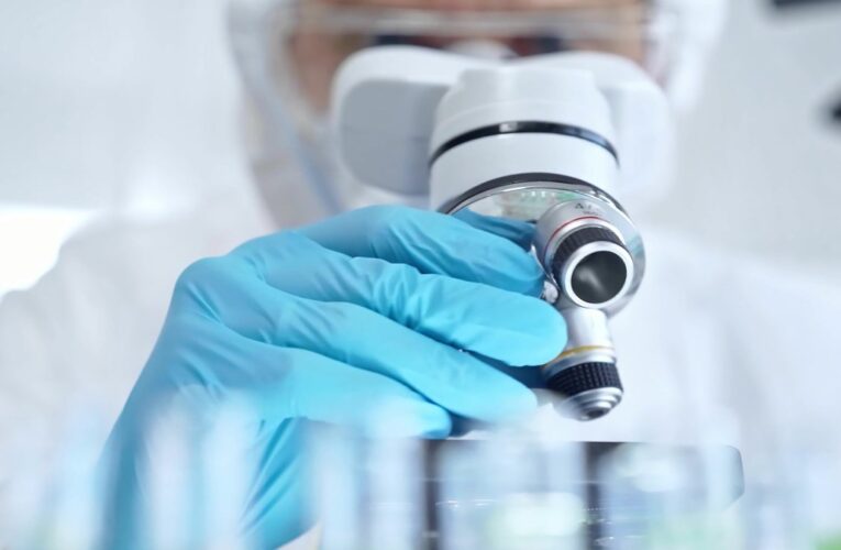 Polscy naukowcy dokonali niezwykłego odkrycia: robaki z dwiema głowami