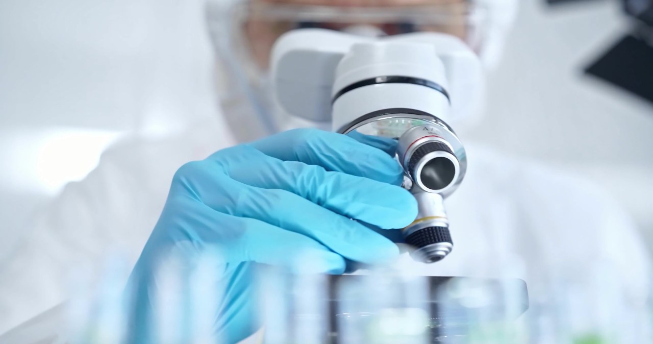 Polscy naukowcy dokonali niezwykłego odkrycia: robaki z dwiema głowami