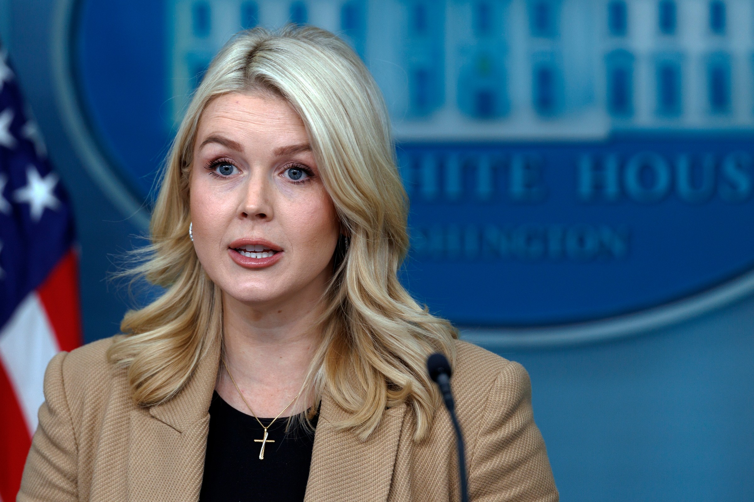 Odpowiedź Białego Domu na rozmieszczenie europejskich sił wojskowych na Grenlandii